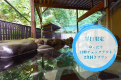 [期間限定]16時以降チェックインゆったり11時チェックアウト1泊2食プラン