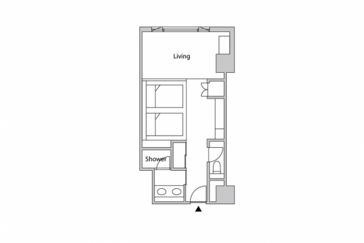 Deluxe Japanese-Western style room (with shower)