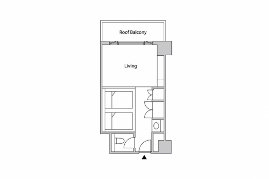 Japanese-Western style room with Balcony (without shower and bathtub)