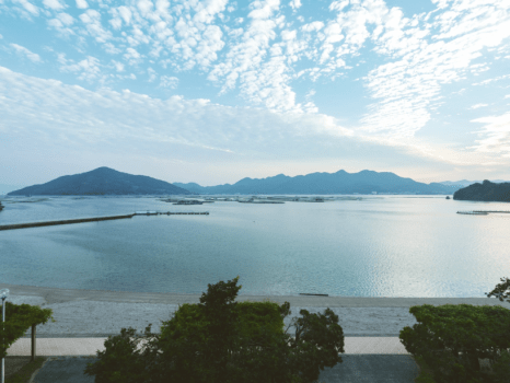 見渡す限り海のパノラマビュー