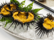 ■ある日のご夕食メニュー（季節提供）／三陸産の天然『キタムラサキウニ』。磯の香りが高く濃厚な甘味が口の中に広がります。