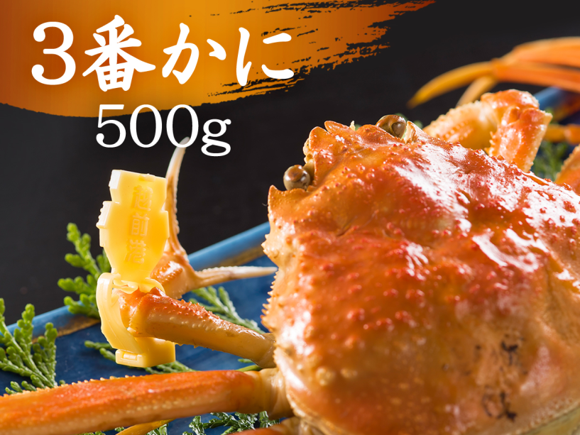 【３番かに（５００ｇ）】５００ｇの越前かにをまるっと一杯！甲羅の中の味噌まで堪能♪