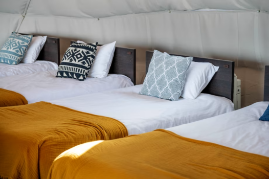 □+Lei Ohanaオープン記念・第2弾□【1泊2食】≪Hawaiian≫食べ放題＆飲み放題プラン～2025年10月オープン”＋Lei Kitchen”のハワイアン美味堪能～