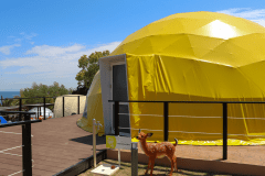 【オーシャンテラス】8ベッド・直径10ｍ＜”ナノハナ”＞ドームテント・ジャグジー付