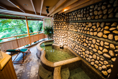 露天風呂付き客室　プライベートサウナ付き（和室）