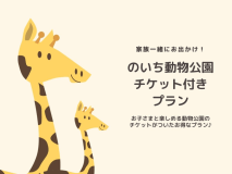 客室情報は下部の「選択されたお部屋の紹介」の箇所でご確認いただけます。