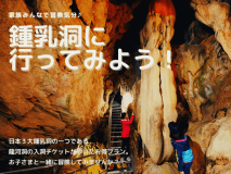 客室情報は下部の「選択されたお部屋の紹介」の箇所でご確認いただけます。