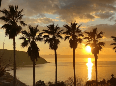 ＜1泊2食付＞1人3,000円OFF✨学生が1名いればOK！学割プランでオールインクルーシブグランピングをお得に楽しもう♪