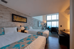 【Lusso-ルッソ-｜愛犬可】セミダブル／95平米／禁煙