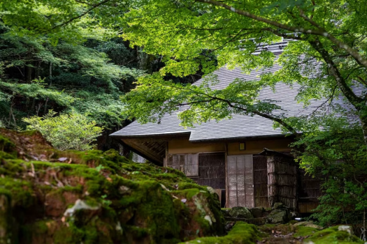 萩焼深川窯元の風景。深い山間にあり、萩焼制作に必須な薪が軒先に積まれる三ノ瀬。川のせせらぎが響き、手つかずの自然がすぐそばにあります。