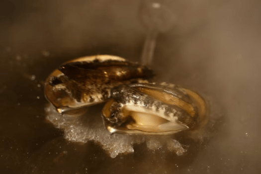 【鉄板焼コース/大谷山荘レストランで特別ディナー】黒毛和牛や新鮮な海鮮をご堪能（1泊2食付)