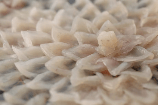 ふぐ刺しイメージ