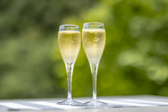 ◇記念日プラン◇スパークリングワインでお祝い！～料理長特選会席を楽しむ〜夕朝食付プラン