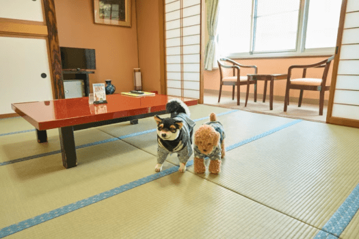 和室8畳トイレ付