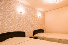 和洋室（和室4畳+洋室6畳・ツインベット/ペット不可・禁煙）