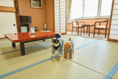 和室8畳トイレ付