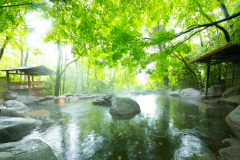 【一泊二食付スタンダードプラン】全室離れと貸切大露天風呂で日常を休む～オリジナル創作料理