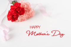 【5月限定】★母の日プラン★ 今日はお母さんが主役！たくさんのありがとうを詰め込んだ サプライズ旅行