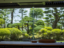 窓から広がる日本庭園は、まるで絵画を切り取ったような美しさ