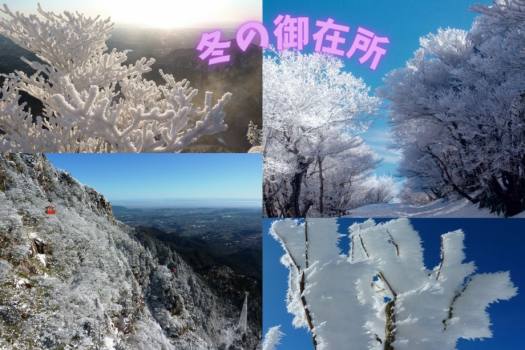 【御在所岳】冬の御在所は幻想的な白銀の世界に！まさに非日常の空間♪