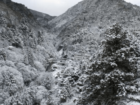 【コスパ重視】観光も温泉も、賢く満喫。家族にやさしい湯の山温泉彩向陽のコスパプラン