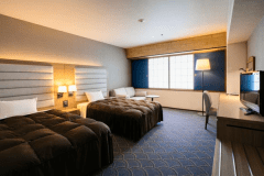 キャッスルビューツイン