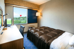 キャッスルビューシングル