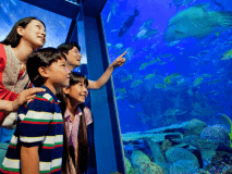 【鳥羽水族館】飼育種類数　“日本一”の水族館（車で10分）