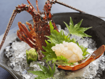 【伊勢海老のお造り】新鮮な伊勢海老の“ぷりっ”とした食感をお楽しみください♪