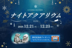 【2026年12月開催：鳥羽水族館ナイトアクアリウム】夜の神秘的な世界を楽しもう♪