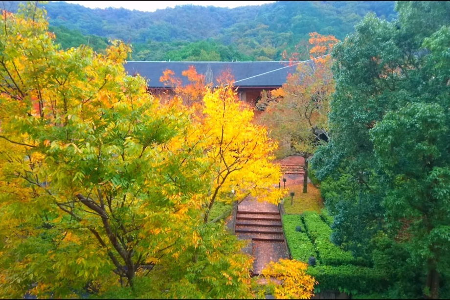 敷地内も美しい紅葉をご覧いただけます。 敷地内も美しい紅葉をご覧いただけます。
