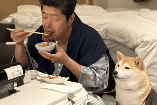 ■室内でワンちゃんと過ごせるとっておきプラン♪