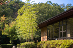 緑に囲まれ癒しのお時間をお過ごしくださいませ。