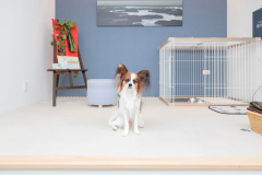 ＜愛犬可＞【1棟貸切トレーラーハウス】露天風呂＆ウッドデッキ