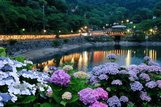 【形原あじさいまつり】６月開催