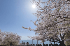 【近隣施設】徒歩８分ほどにある「西浦園地」三河湾を一望でき、春には桜が満開。