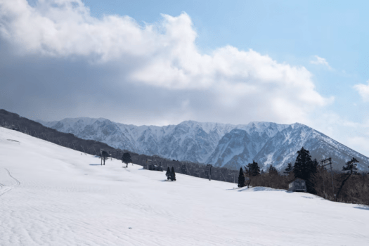 だいせんホワイトリゾートでは日本海を眺めながら滑走できるダイナミックな景観が楽しめます。
