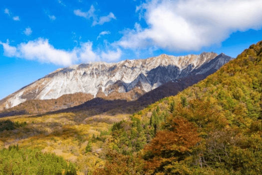 新緑と紅葉のコントラストは大山でも屈指の絶景ポイント！