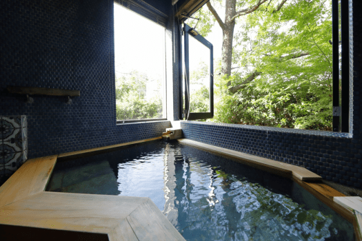 【早期割30 早めの予約で平日が約5％お得 部屋数限定】素泊まりプラン 【全室天然温泉付】