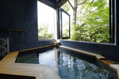 一部屋限定の離れ和室タイプ【天然温泉の半露天風呂付】