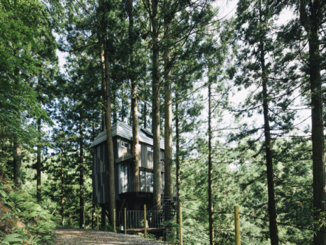 森の隠れ家「Treehouse」