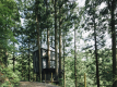 森の隠れ家「Treehouse」