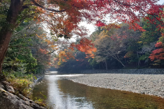 秋の五十鈴川