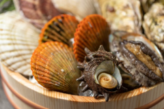 貝の種類は季節によりかわります。お写真はイメージです。 貝の種類は季節によりかわります。お写真はイメージです。