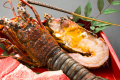 spiny lobster