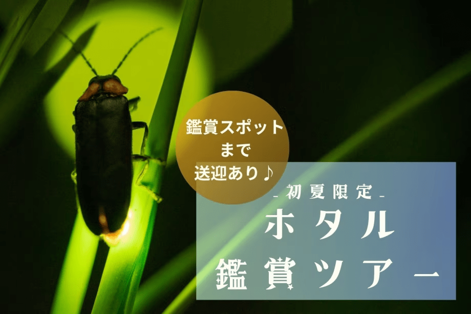 初夏限定の「ホタル観賞」を楽しむ夜。鑑賞エリアまでは送迎付き！