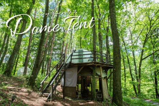 【ツリーハウス／最大4名／冷暖房完備】ドームテント4M（ベッド2台&ソファベッド2台）