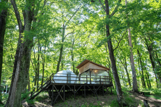 【最大4名／冷暖房完備】ドームテント4M（ベッド2台&ソファベッド2台）