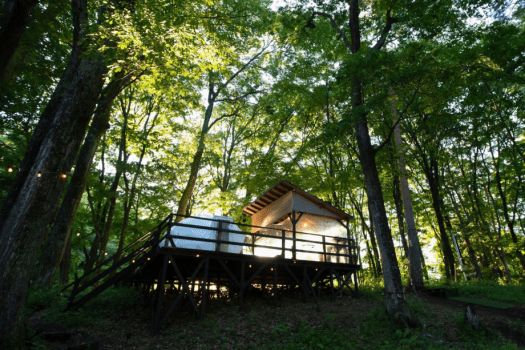 【最大4名／冷暖房完備】ドームテント4M（ベッド2台&ソファベッド2台）