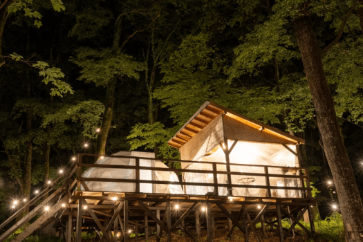 冬お得旅〈最大40%OFF〉(夕朝食付)